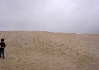 PICT3353  Råbjerg mile  Europas största vandrande sandöken ligger några kilometer söder om Skagen, längs vägen mot Fredrikshamn. Sanddynerna kan bli upp till 40 meter höga och täcker en yta av cirka en kvadratkilometer. De flyttar sig 15-20 meter årligen. : Danmark 2003