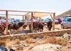 MG 7591 : Balos Lagoon, Kreta