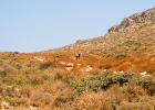 MG 7602 : Balos Lagoon, Kreta