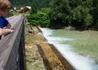 webbIMG 0008  Flod vid Bohinjské jezero : Bled
