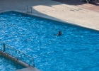 IMG 1224  Annika simmar i vår pol : L´Estartit, Semester 2012, Semester_2012, Spanien