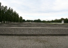 Dachau005 : Dachau, Semester, Semester2009